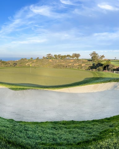 Torrey Pines Golf Course fairway with ocean views